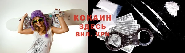 гашик Киренск
